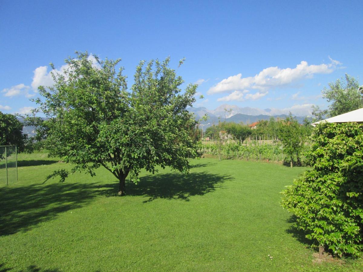 Willa Casa Margubbio Ameglia Zewnętrze zdjęcie