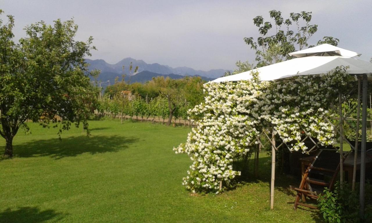 Willa Casa Margubbio Ameglia Zewnętrze zdjęcie